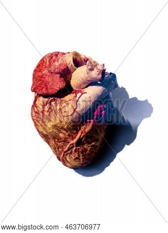 Moscow, Russia - May 05, 2021: Famous Anatomy Exhibition Body Worlds Where Plastinated Bodies Are Ex