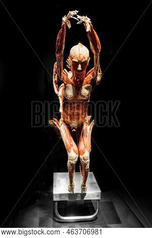 Moscow, Russia - May 05, 2021: Famous Anatomy Exhibition Body Worlds Where Plastinated Bodies Are Ex