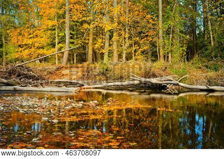 Autumn Colors Along The Placid Chagrin River Near Cleveland, Ohio