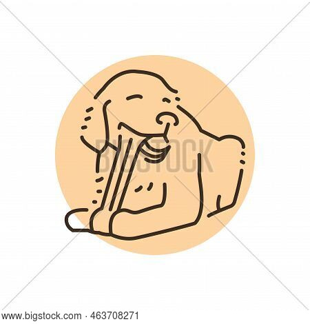 Golder Retriever Chewing Bone Color Line Icon. Pictogram For Web Page