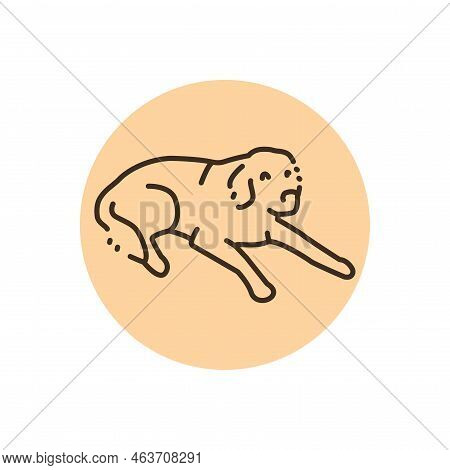 Golder Retriever On A Leash Color Line Icon. Pictogram For Web Page