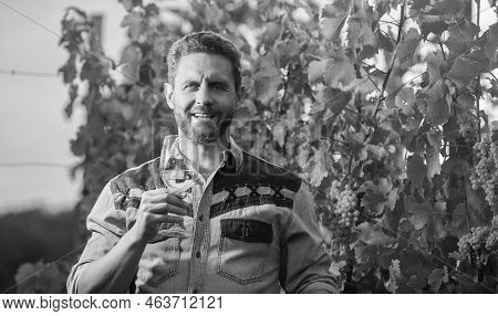 Bearded Man With Wine Glass. Happy Enologist With Wineglass. Sommelier.