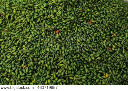 Heap Of Fresh Delicious Chiltepin As Background, Top View