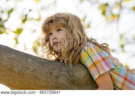 Child On A Tree Branch. Child Climbing In Adventure Activity Park. Insurance Kids. Little Boy Kid Fa
