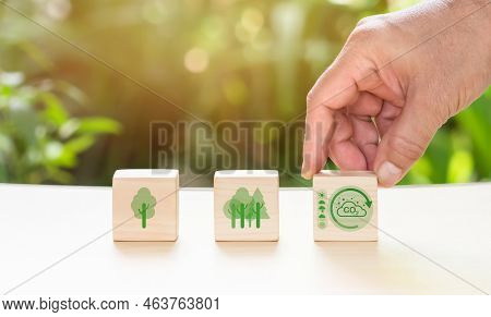 Climate And Environmental Change Are Ideas. Lca. Concept Of Carbon Footprint And Emission Reduction 