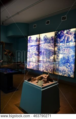 Albuquerque Nm - Jul 24: New Mexico Museum Of Natural History And Science In Albuquerque, New Mexico
