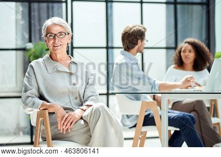 Mature Businesswoman At The Workplace In The Office .