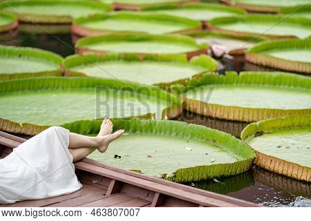 Asian Girl Is Lying Down On The New Vintage Wood Boat On The Lily Lotus Leaf Pond At Outdoor Field.
