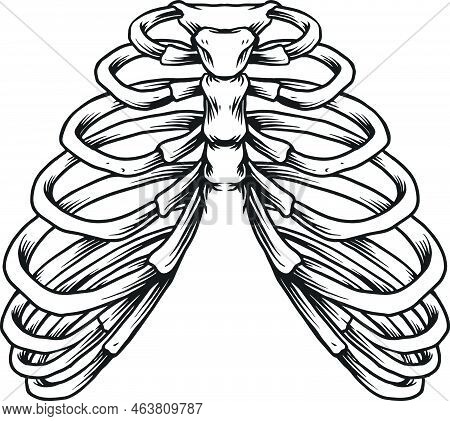 Ribcage Weed Leaf Smoking Monochrome Vector Illustrations For Your Work Logo, Merchandise T-shirt, S