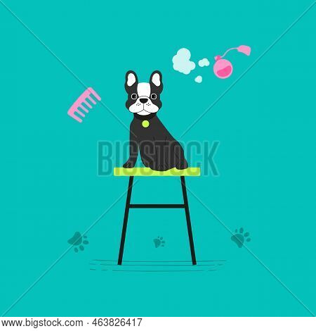 French Bulldog In Grooming Salon, Bathing, Cutting, Combing, Hair Drying, Beauty. Concept For Dog Ha