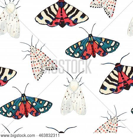 Seamless Pattern With Garden Tiger Moths, Arctiidae Family. Watercolor Illustration Of Beautiful Nig