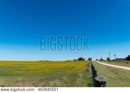 Autum Countryside. While Visiting Some Places On The West Side Of Uruguay, Near The River With The S