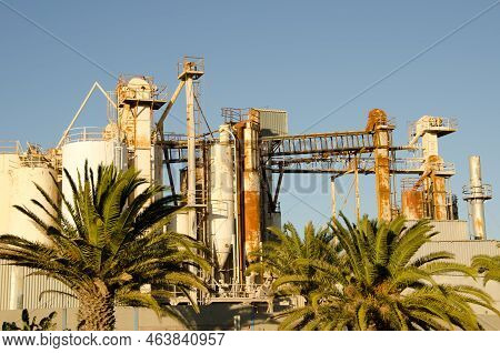 Gypsum, Plaster And Prefabricated Plaster Factory. Arinaga Industrial Park. Aguimes. Gran Canaria. C