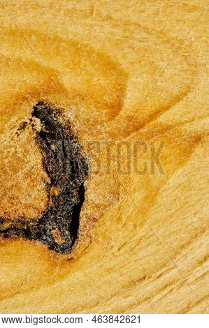 Wood Texture Wooden Background Close-up Top View