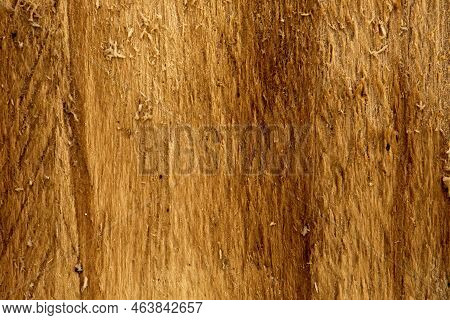 Wood Texture Wooden Background Close-up Top View