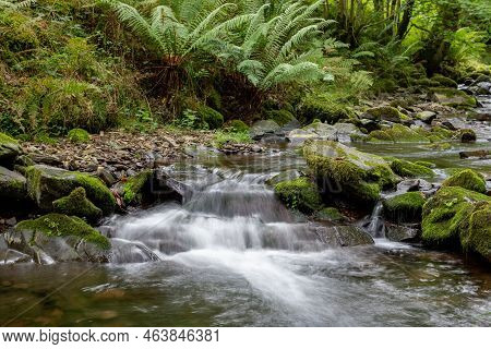 Long Exposure Of A Watrfall On The Horner Water River Flowing Through Horner Woods In Somerset