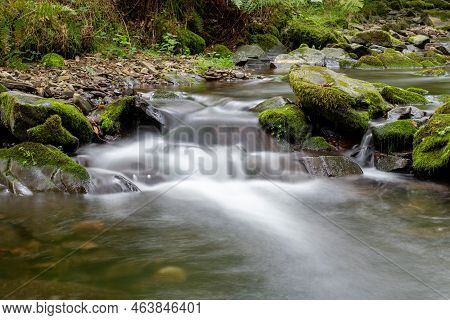 Horner Woods In Somerset