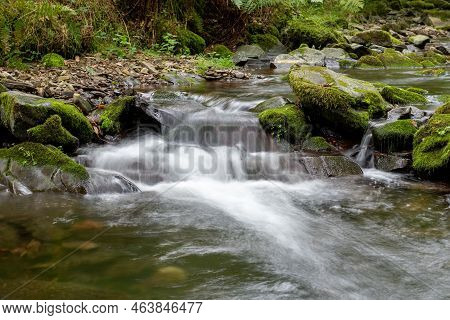 Horner Woods In Somerset