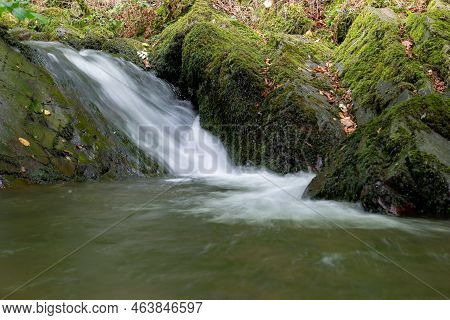 Horner Woods In Somerset