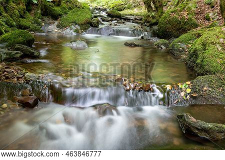 Horner Woods In Somerset