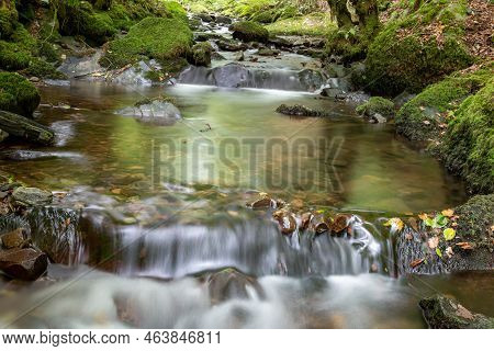 Horner Woods In Somerset