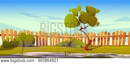 House Backyard Or Cottage Yard With Paved Stone Path, Green Tree, Bushes, Grass Lawn And Wooden Stoc