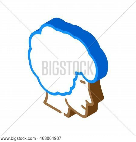Afro Hairstyle Male Isometric Icon Vector. Afro Hairstyle Male Sign. Isolated Symbol Illustration