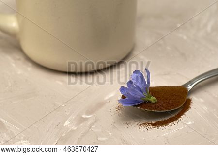 A Spoon With Chicory Flower And Chicory Powder And Chicory Flowers In A Coffee Mug