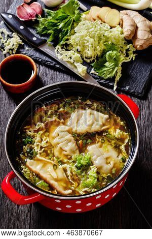 Asian Potsticker Gyoza Soup With Dumpling Of Ground Chicken, Napa Cabbage, Scallions, Ginger,  Celer