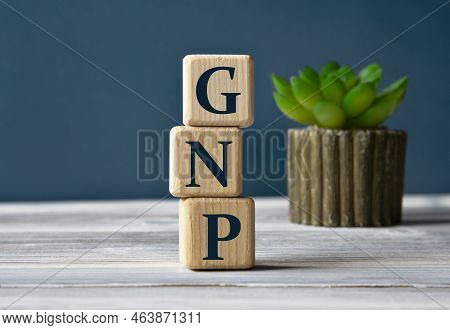 Gnp (gross National Product) - Acronym On Wooden Cubes On The Background Of A Cactus. Bussiness Conc