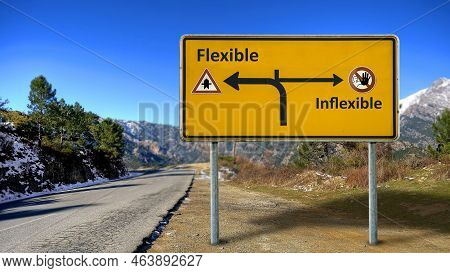 Street Sign The Direction Way To Flexible Versus Inflexible