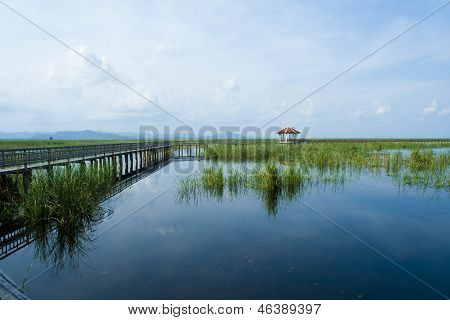 Træ bro i lotus lake i khao sam roi yod national park, thailand