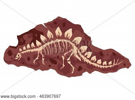 Dinosaur Skeleton Bone, Fossil Excavation Of Archeology Isolated. Prehistoric Reptile Skeleton Lying