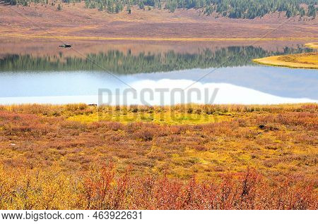 Reflection Of Clouds And Tall Pine Trees On A Hillside In A Picturesque Calm Lake.