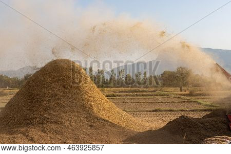 Rice Thresher Machine Threshing The Rice Crop Flowing Away The Rice Straw Which Will Be Later Use Fo