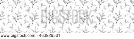 Seamless Pattern Of Green Tea Leaves, Vector Illustration. Background Hand Drawn For Print And Desig