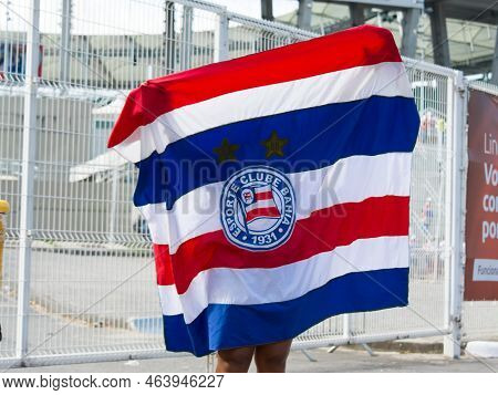 Supporters Of The Esporte Clube Bahia Football Team, Seen Through The Reflection Of The Water In The