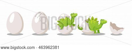 Stages Of Hatching Dinosaur From Egg Cartoon Illustration Set. Funny Green Dino Or Dragon In Egg She