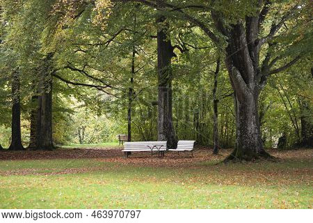 Benches In The Autumn Park. Mid-october, Germany, Ravensburg