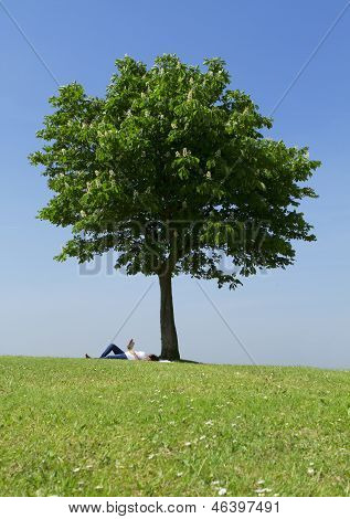 Femme reposante sous un arbre