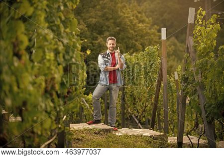 Proud Enologist At Winery. Farmer Vinedresser. Male Vineyard Owner. Professional Vintner