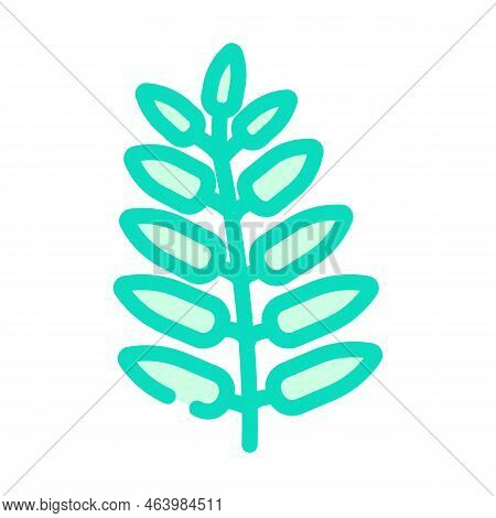 Royal Fern Tropical Leaf Color Icon Vector. Royal Fern Tropical Leaf Sign. Isolated Symbol Illustrat