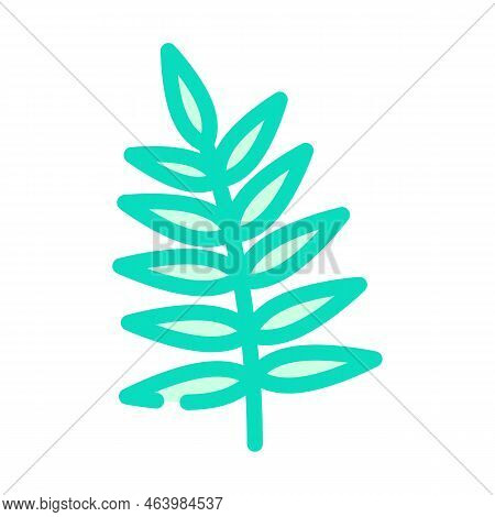 Chamaedorea Tropical Leaf Color Icon Vector. Chamaedorea Tropical Leaf Sign. Isolated Symbol Illustr