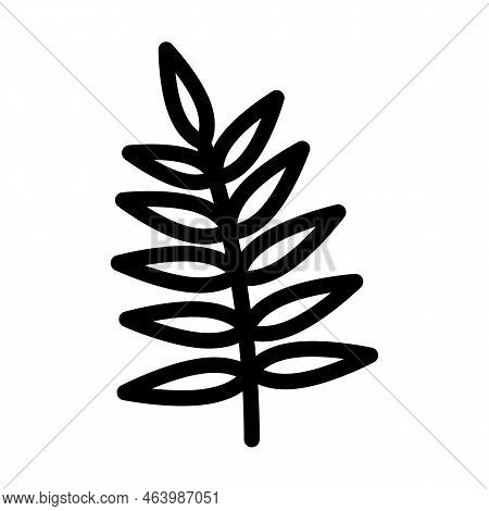 Chamaedorea Tropical Leaf Line Icon Vector. Chamaedorea Tropical Leaf Sign. Isolated Contour Symbol 