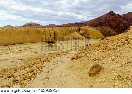 Winter View Of Arava Desert Valley Landscape Near The Shkhoret Canyon, Southern Israel