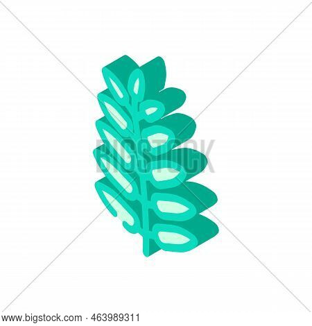 Royal Fern Tropical Leaf Isometric Icon Vector. Royal Fern Tropical Leaf Sign. Isolated Symbol Illus