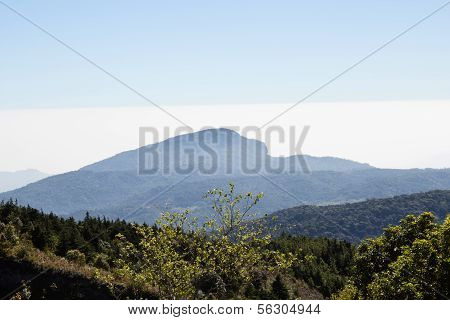 scene of 