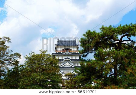 Fukuyama Castle (south Side)