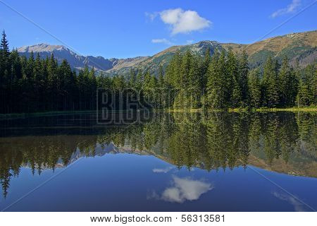 Reflection on Smreczynski lake in Koscieliska Valley, Tatras Mountains, Poland