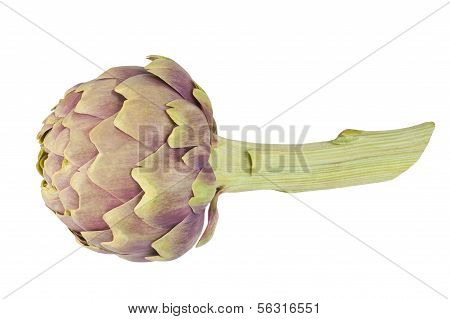 Artichoke